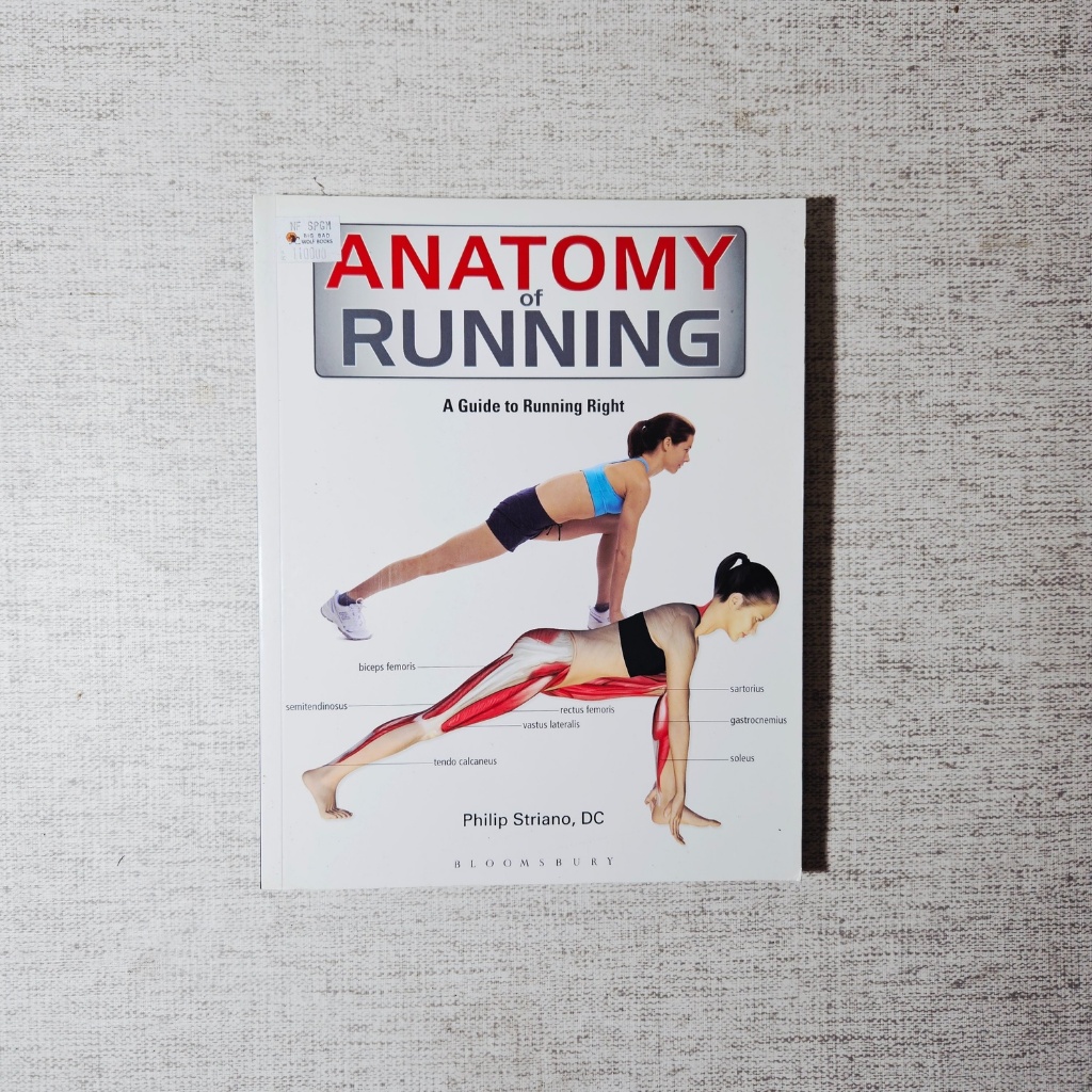 Anatomy of Running: Philip Striano