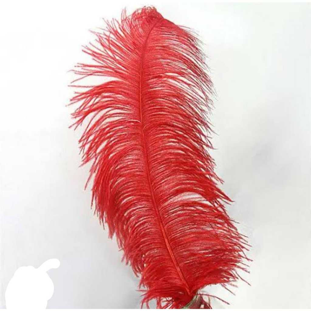 ขนนก 60 ซม./60 ซม. เลงธ OSTRICH FEATHER