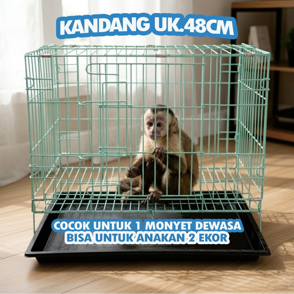 MONKEY CAGE UK.48 - ฟรี LADDER RACK, NAME TAG, TRAY - UK.48 X 30 X 38, สามารถพับได้