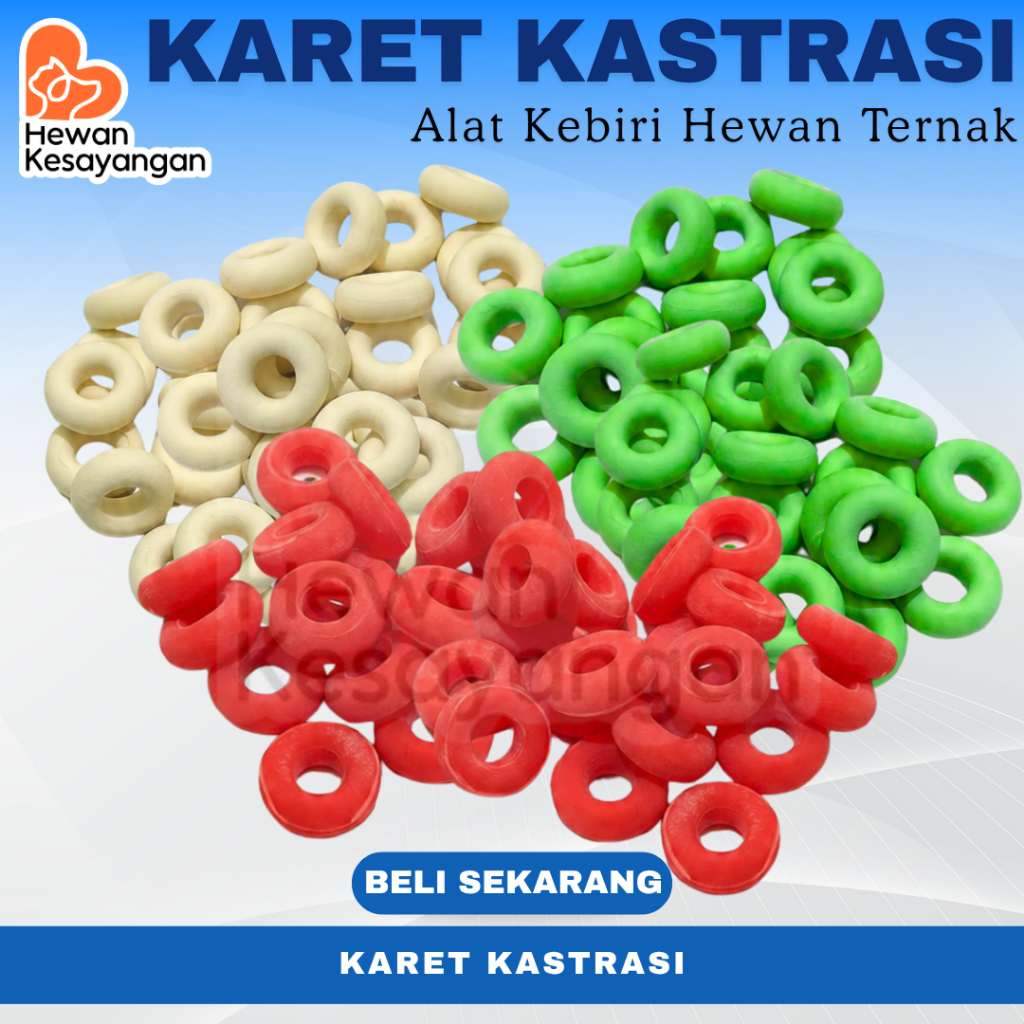 อุปกรณ์ Kerri Ring Kastration Kebiri ยางสําหรับปศุสัตว์ แพะ แกะ ฯลฯ