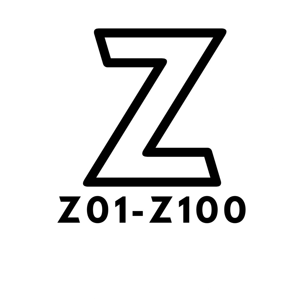 CODE Z01-Z100 เสื้อยืด OVERSIZED FAMEL