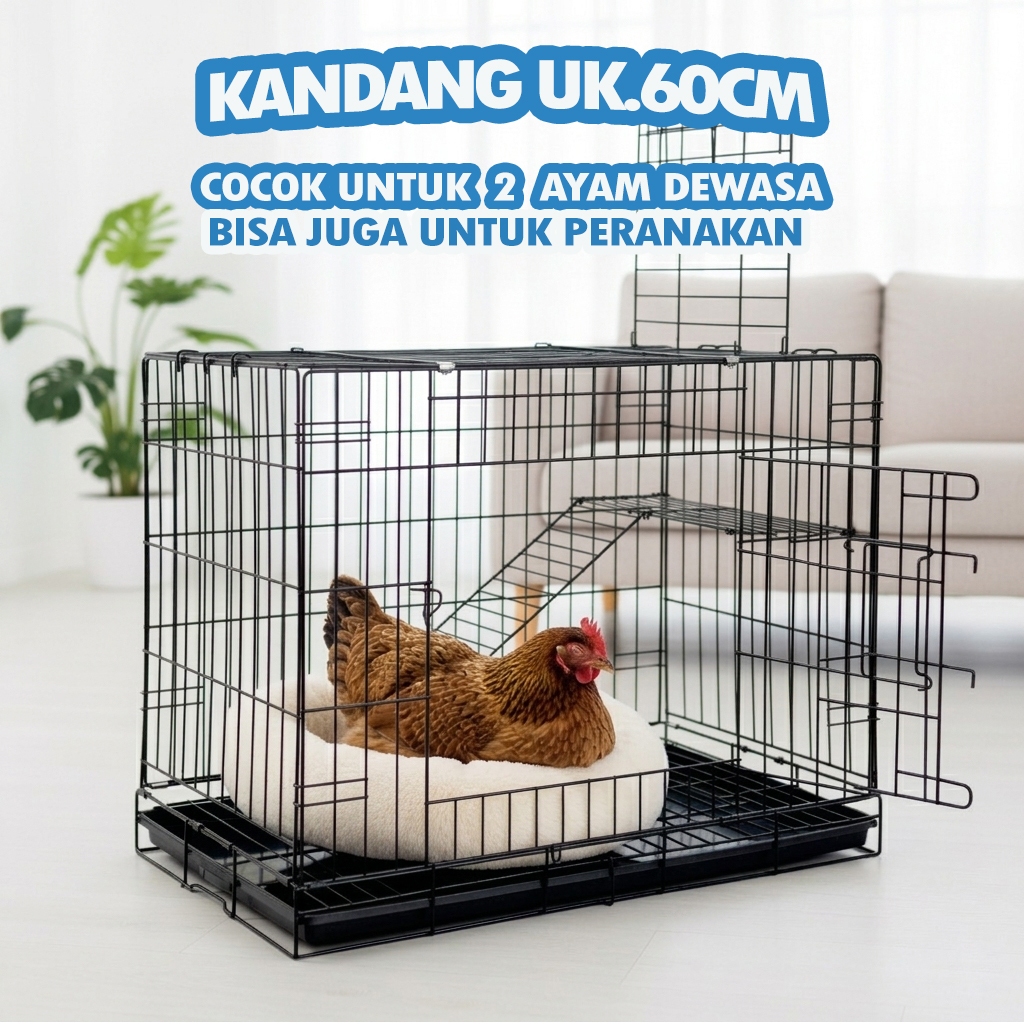 CHICKEN CAGE UK.60 - ฟรี LADDER RACK, NAME TAG, TRAY - UK.48 X 30 X 38, สามารถพับได้