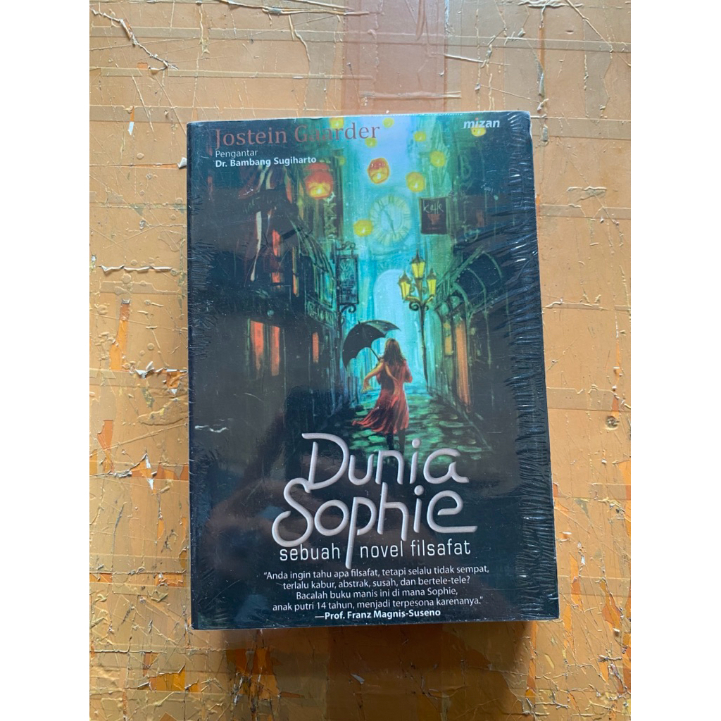 PHILOSOPHY NOVEL BOOK