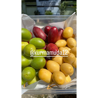 KURMA MUDA MERAH KUNING HIJAU FRESH BUKAN FROZEN