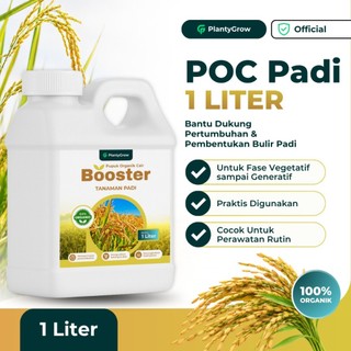 PLANTYGROW - Pupuk Organik Cair Padi 1 Liter – Rahasia Padi Subur, Tahan Hama & Hasil Panen Melimpah