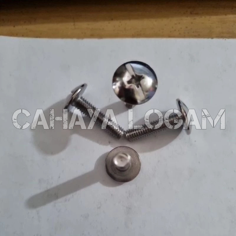 M6 X 25 BODY BOLT***