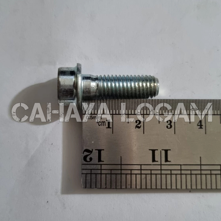 HONDA STAR L-BOLT 8 X 25
