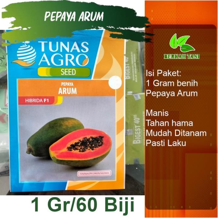 ARUM F1 Honey Hawaiian Papaya Seeds 60 เมล็ด