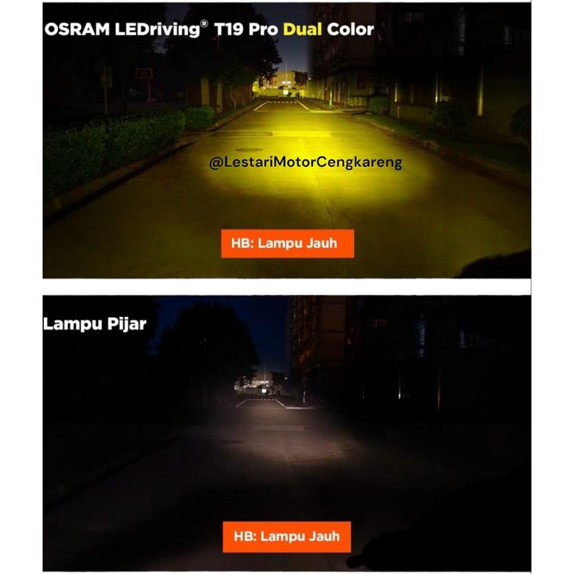 Osram Led T19 Pro Laser 2 Color Socket H6 Duck and Automatic