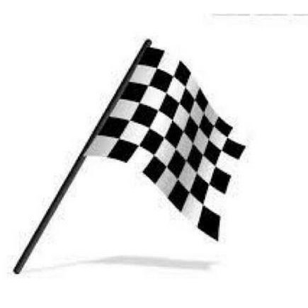 START FINISH FLAG / START FLAG / COMPETITION FLAG 105 X 65CM