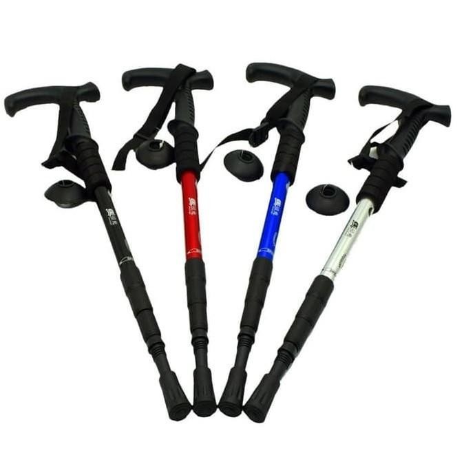 Trekking Pole Straight Stick Tracking 819-387