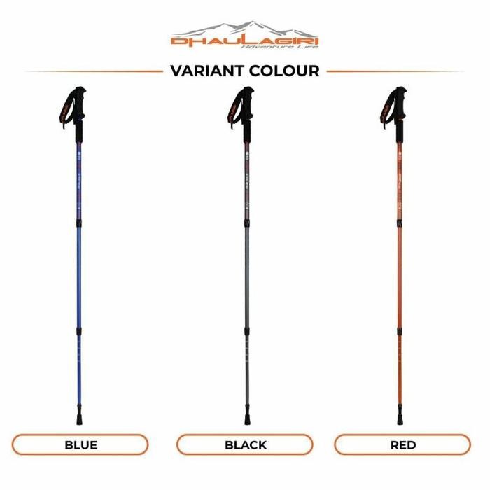 Trekking Pole Dhahaagiri Tp 101