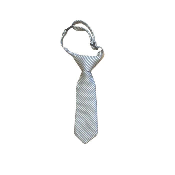 CuteKids- เนคไทแบบบางสําหรับเด็ก Fresco Little Fresco Tie Listed Silver Tie