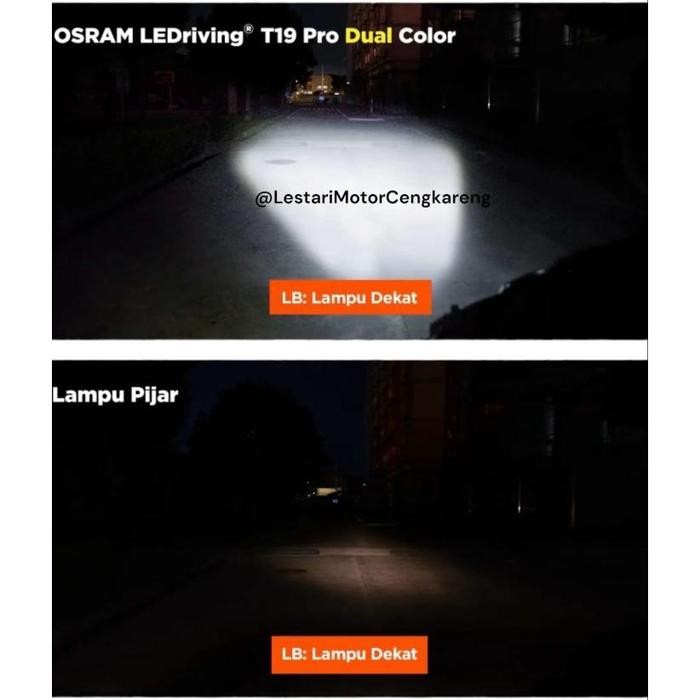 Osram Led T19 Pro Laser 2 Color Socket H6 Duck and Automatic ส่งฟรี