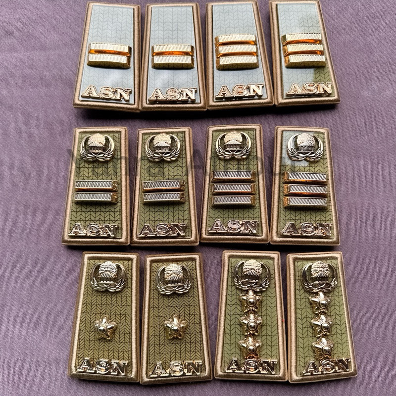 Summatra Asn Rank / Korpri Civil Servant Rank Group 3a 3b 3c 3d 4a 4b 4c คุณภาพระดับพรีเมียม