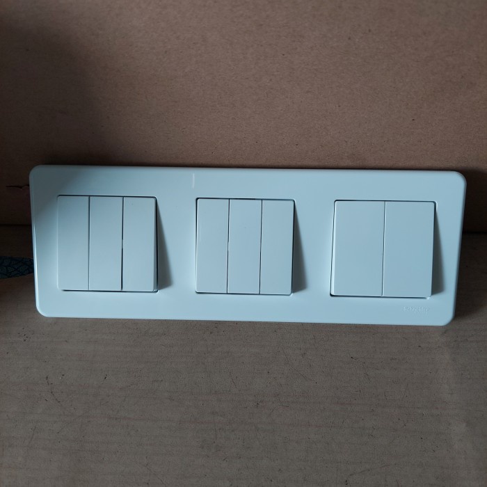 Leana Schneider 8 Gang 1 Way Switch