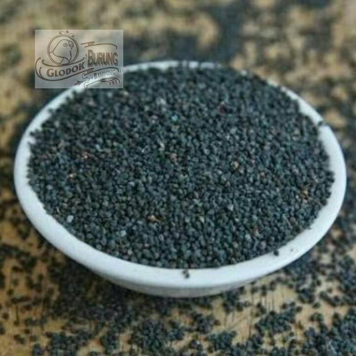 Black Seed Black Cumin Habbtussauda Nigella Sativa อาหารนก