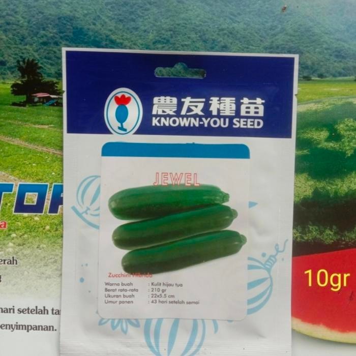 Evergeen (10 กรัม) Zucchini Jewel / Zucchini Hybrid Seeds (+/-90 Grains)