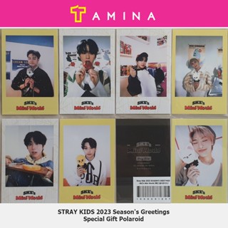 STRAY KIDS 2023 Seasons Greetings Special Gift Polaroid