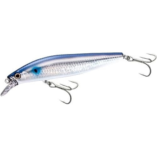 SHIMANO Lure Exsense Silent Assassin 99SP AR-C XM-099P 011 Kyorimbora
