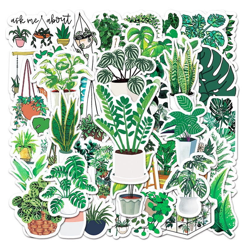 สติกเกอร์ กันน้ํา ลายพืชตลก สร้างสรรค์ DIY สําหรับติดตกแต่งรถยนต์ 50 ชิ้น