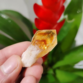 Natural Citrine Point Raw Citrine Stone Crystal Skeleton DIY Pendant 100g(about10pcs)