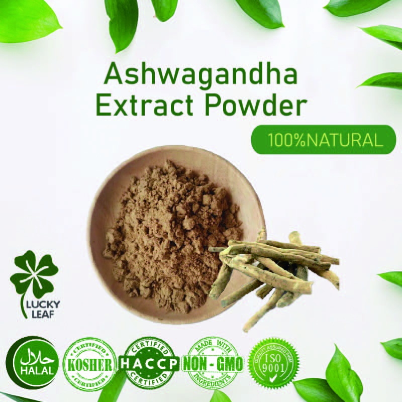 ผงสกัด Ashwagandha/Energy& สุขภาพทางเพศ-Kosher&HALAL ได้รับการรับรอง