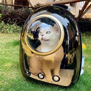 กระเป๋าแมว อุปกรณ์สัตว์เลี้ยง Cat BagSpace Capsule BackpackGo Out Portable Pet BagCat Transparent Backpack Dog Pack Cat Shoulder