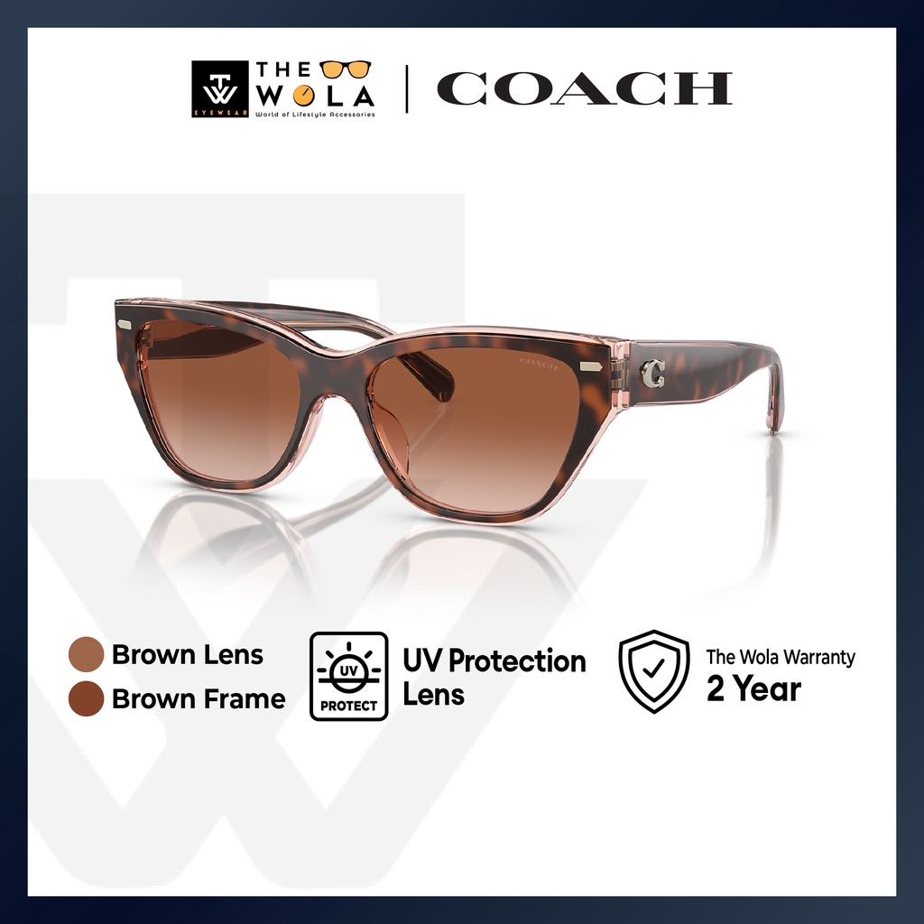 Coach แว่นตากันแดด กรอบแคทอาย สีน้ําตาลอะซิเตท สําหรับสตรี - HC8370U