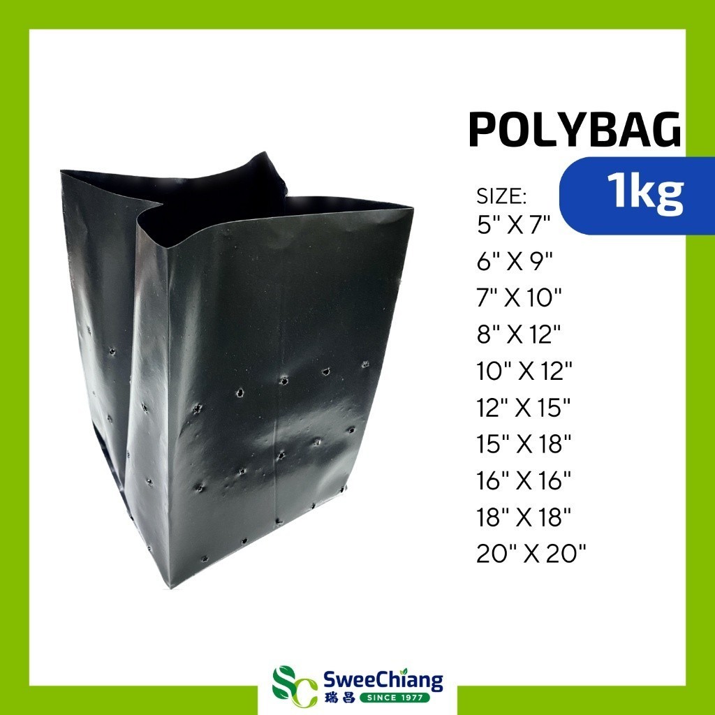 1กก.Polybag Black / Polibeg Hitam / Planting Bag พลาสติก Nursery Fertegasi Tebal / Gardening[SweeChi