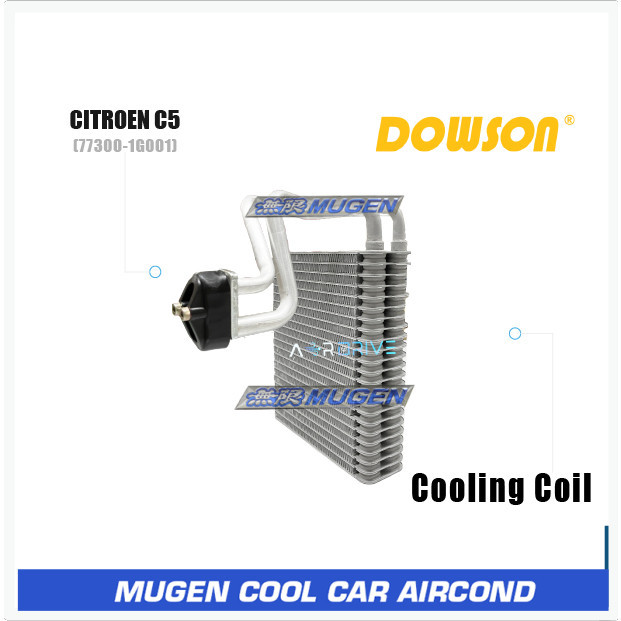 DOWSON PEUGEOT CITROEN C5 คอยล์เย็น 1G001