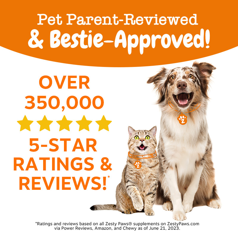 Zesty Paws All-in-One Functional Dental Bone Large - 8 bones (10.1oz) (EXP:07 2026) อาหารเสริมบำรุงฟันให้แข็งแรม รูปทรงกระดูก ขนาดใหญ่ 8 อัน