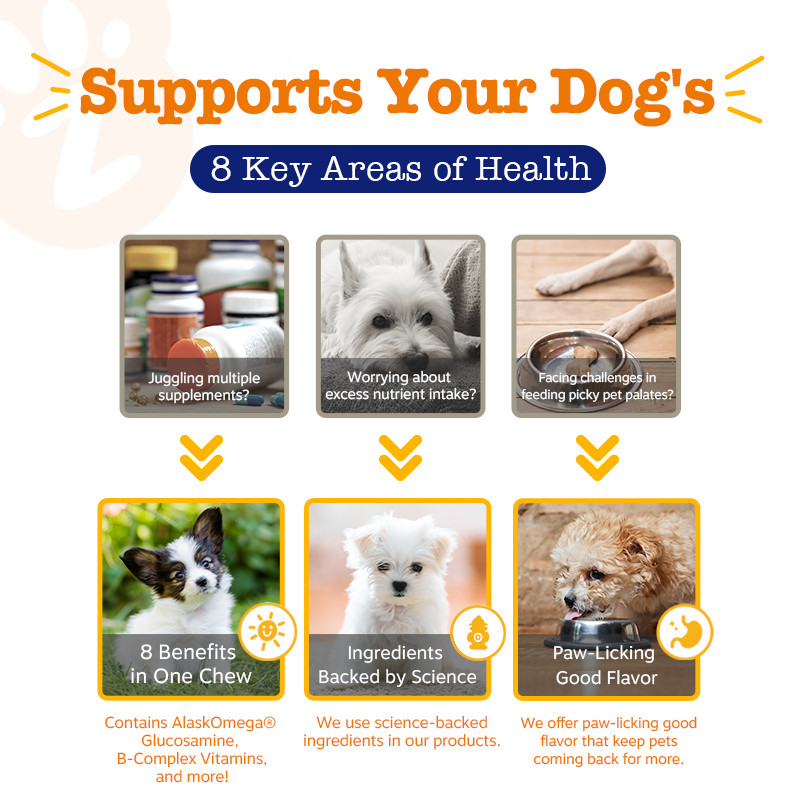 Zesty Paws Puppy 8 in 1 Multivitamin Bites Chicken 90ct - Jar อาหารเสริมลูกสุนัข ประโยชน์ 8 อย่าง รสไก่ แบบนุ่ม 90 อัน (หมดอายุ:04 2026)