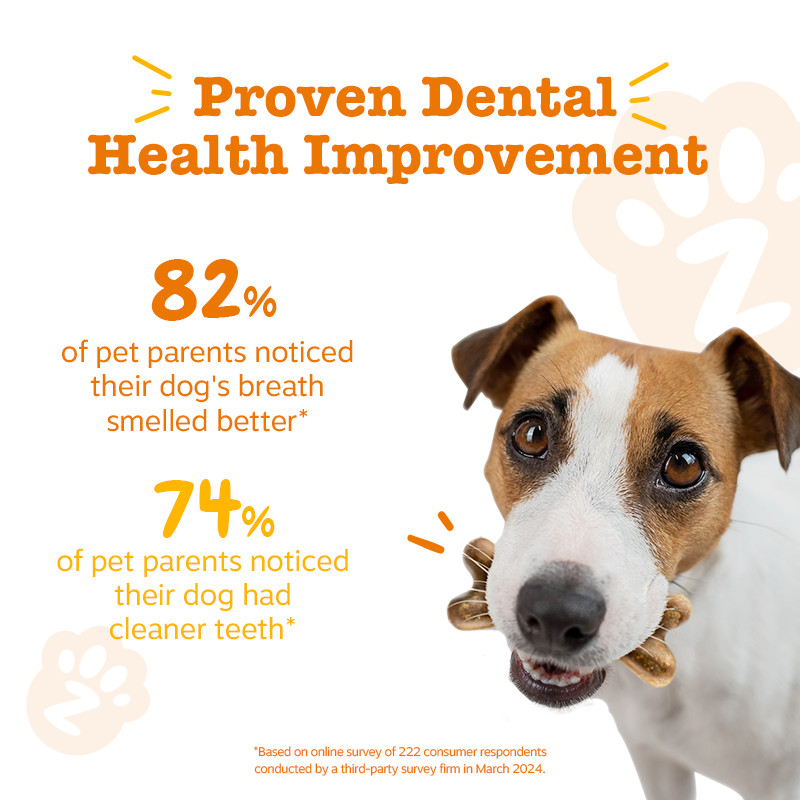 Zesty Paws All-in-One Functional Dental Bone Large - 8 bones (10.1oz) (EXP:07 2026) อาหารเสริมบำรุงฟันให้แข็งแรม รูปทรงกระดูก ขนาดใหญ่ 8 อัน