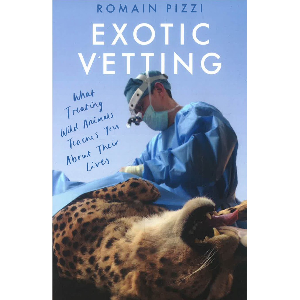 (BX) EXOTIC VETTING*