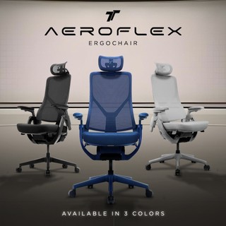 TT AEROFLEX Ergochair Mesh Office Chair Ergonomic Chair Kerusi Pejabat Ofis Study Chair Office Chair
