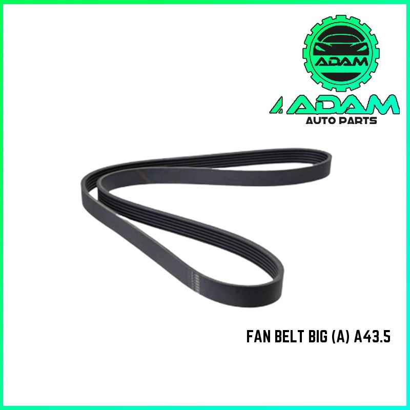 FAN BELT BIG (A) A43.5