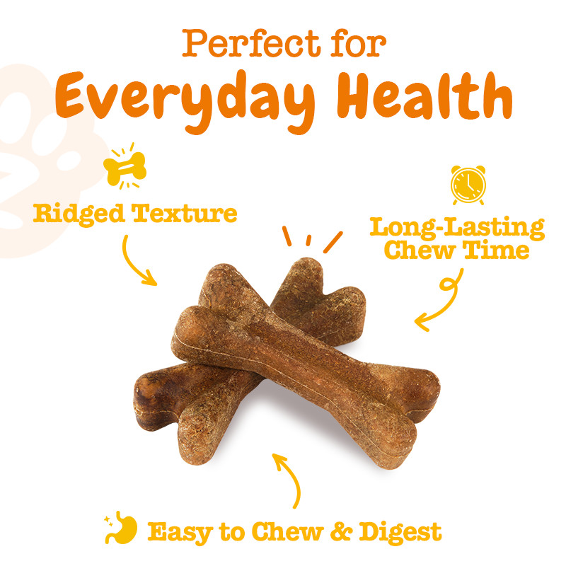 Zesty Paws All-in-One Functional Dental Bone Large - 8 bones (10.1oz) (EXP:07 2026) อาหารเสริมบำรุงฟันให้แข็งแรม รูปทรงกระดูก ขนาดใหญ่ 8 อัน