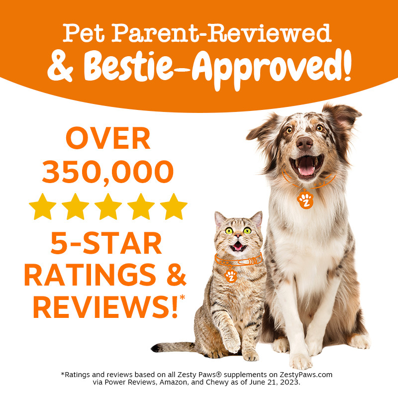 Zesty Paws Puppy 8 in 1 Multivitamin Bites Chicken 90ct - Jar อาหารเสริมลูกสุนัข ประโยชน์ 8 อย่าง รสไก่ แบบนุ่ม 90 อัน (หมดอายุ:04 2026)