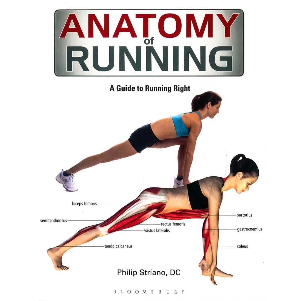(BX) Anatomy Of Running: A Guide เพื่อการวิ่งขวา