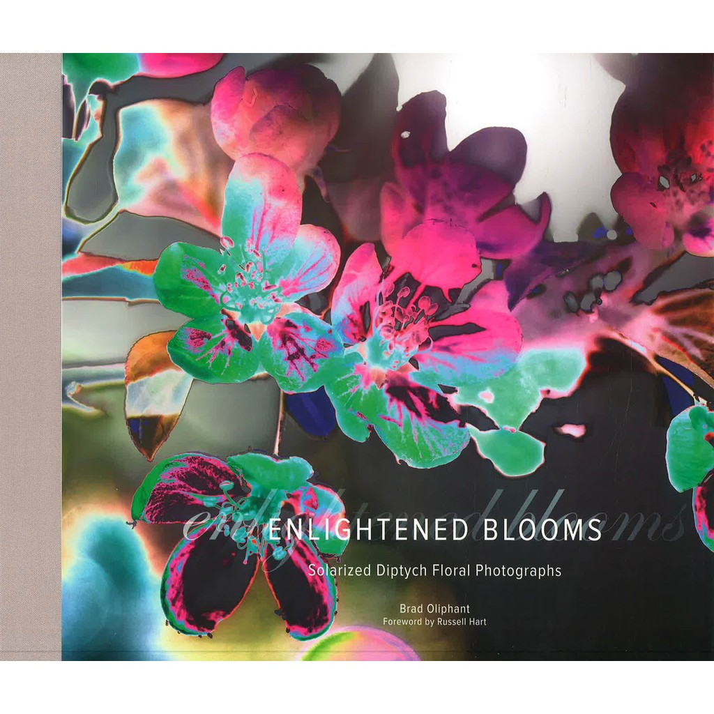 (BX) ENLIGHTENED BLOOMS