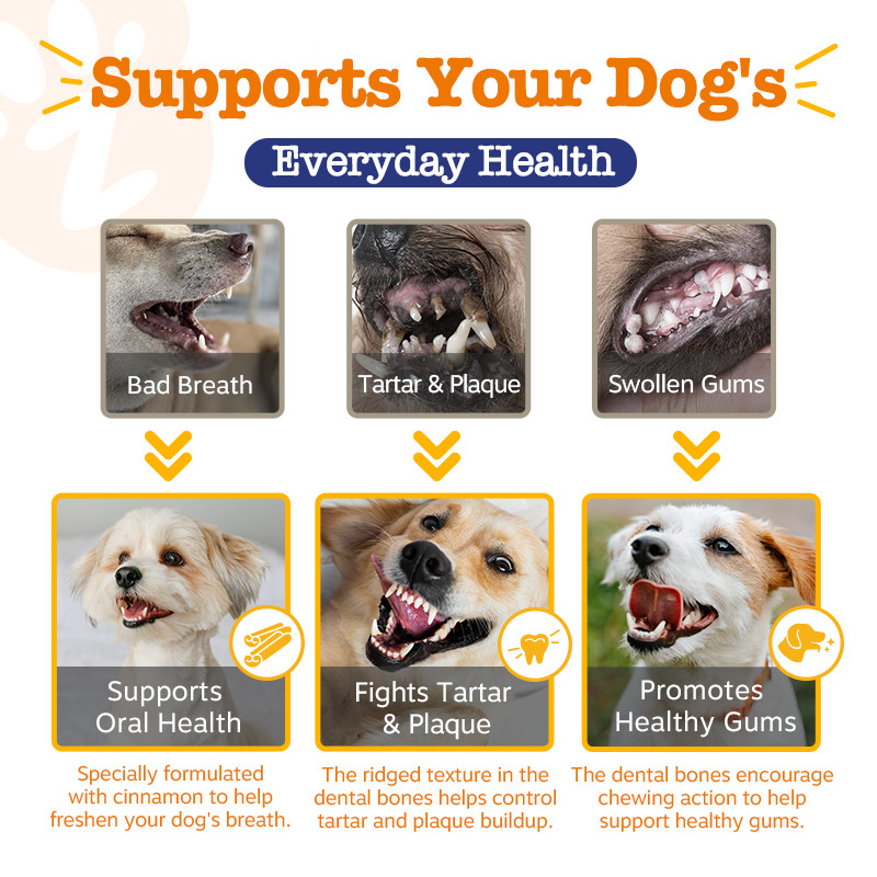 Zesty Paws All-in-One Functional Dental Bone Large - 8 bones (10.1oz) (EXP:07 2026) อาหารเสริมบำรุงฟันให้แข็งแรม รูปทรงกระดูก ขนาดใหญ่ 8 อัน