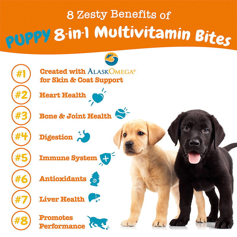 Zesty Paws Puppy 8 in 1 Multivitamin Bites Chicken 90ct - Jar อาหารเสริมลูกสุนัข ประโยชน์ 8 อย่าง รสไก่ แบบนุ่ม 90 อัน (หมดอายุ:04 2026)