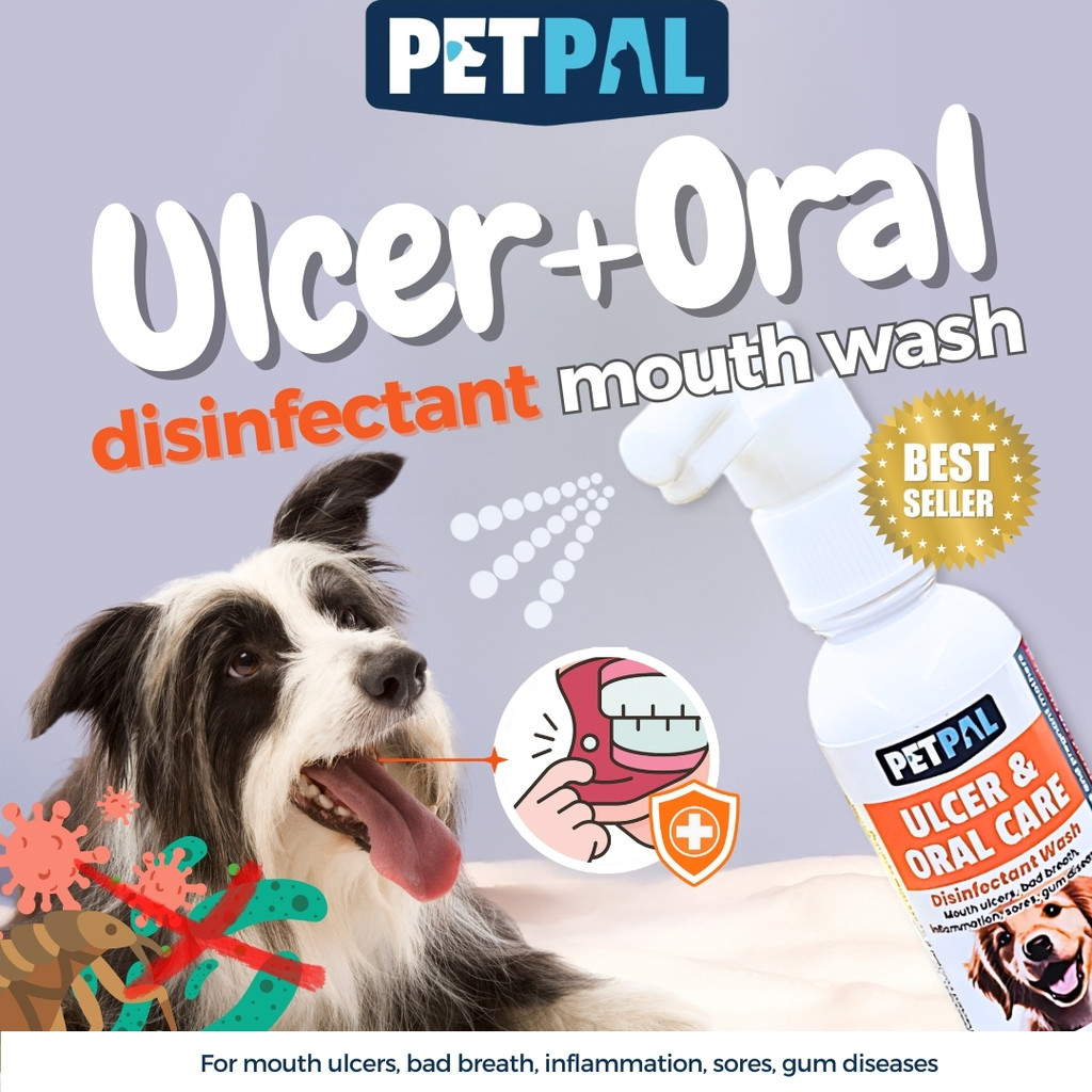 ยาสัตว์เลี้ยง® Ulcer & Oral Care สําหรับสุนัข | Ulcer Healing & Oral Care vs Bacteria