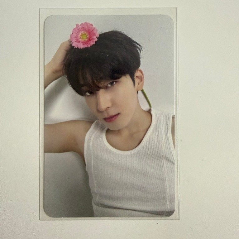 SEVENTEEN WONWOO DEAR PC