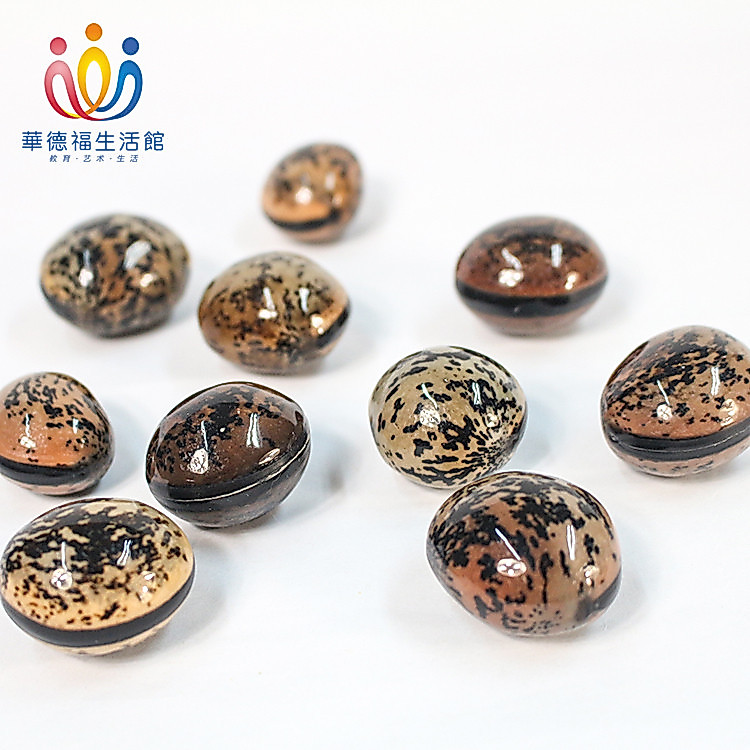 Waldorf Life Store Muyu ผลไม้เมล็ดโพธิ์เมล็ดต้นไม้ธรรมชาติเด็กอนุบาลเล่น Waldorf ของเล่น