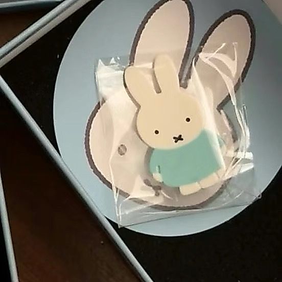 กิ๊บติดผมกระต่าย Miffy Miffy สไตล์ญี่ปุ่น20260805