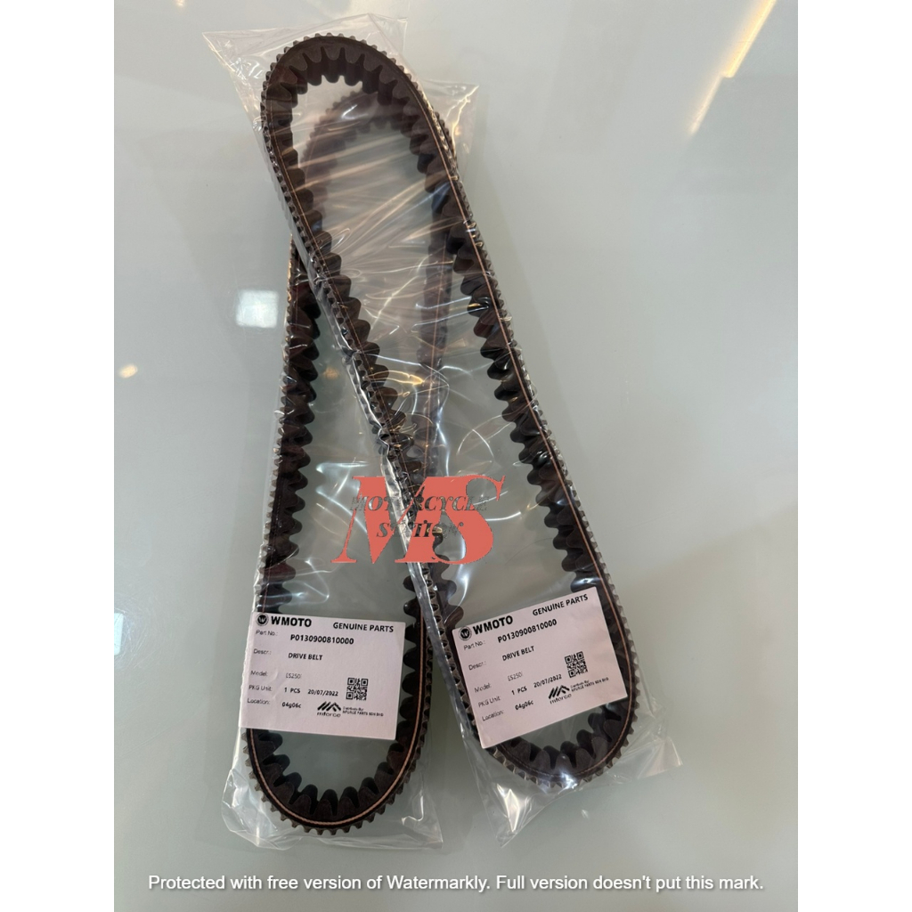 DRIVE BELT ES250 WMOTO ES250i (P0130900810000)