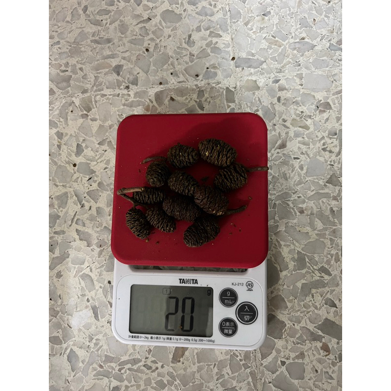 กรวยสนกุ้งเชฟ (20gm)