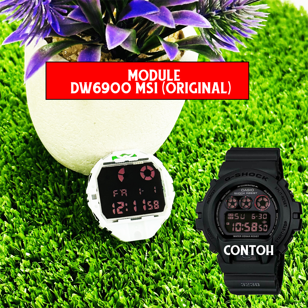 โมดูล DW6900 MS1****
